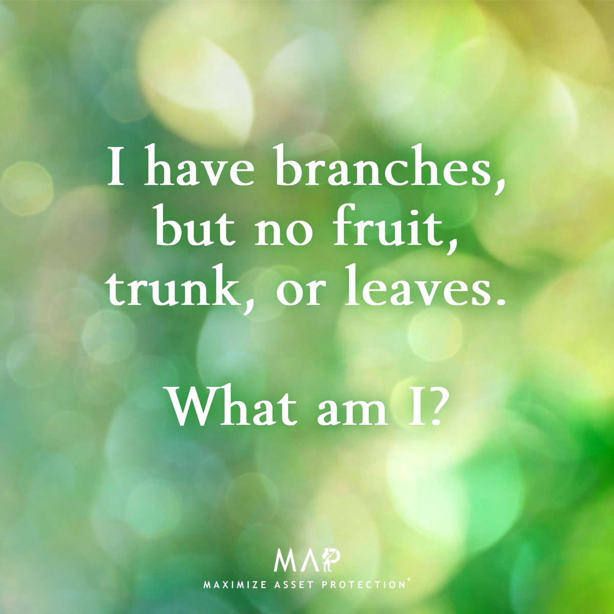 NormaRuizNorie3's tweet image. Share your answer in the comments section 

#trivia #puzzle #exerciseyourbrain #havefun