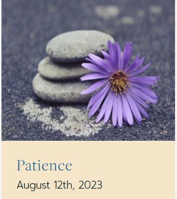 suzannegiesemann.com/patience-2/
