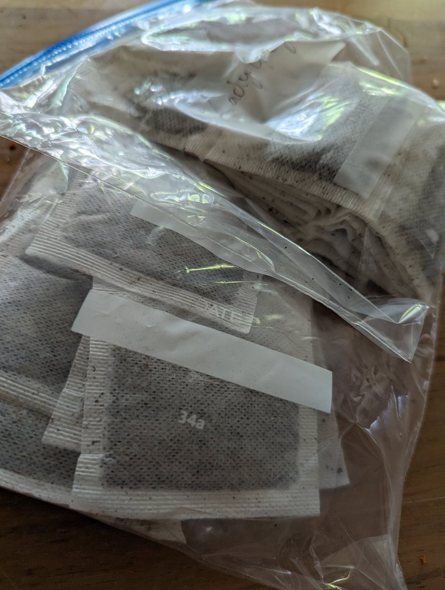 sara aida martinez (she/her) tweet media