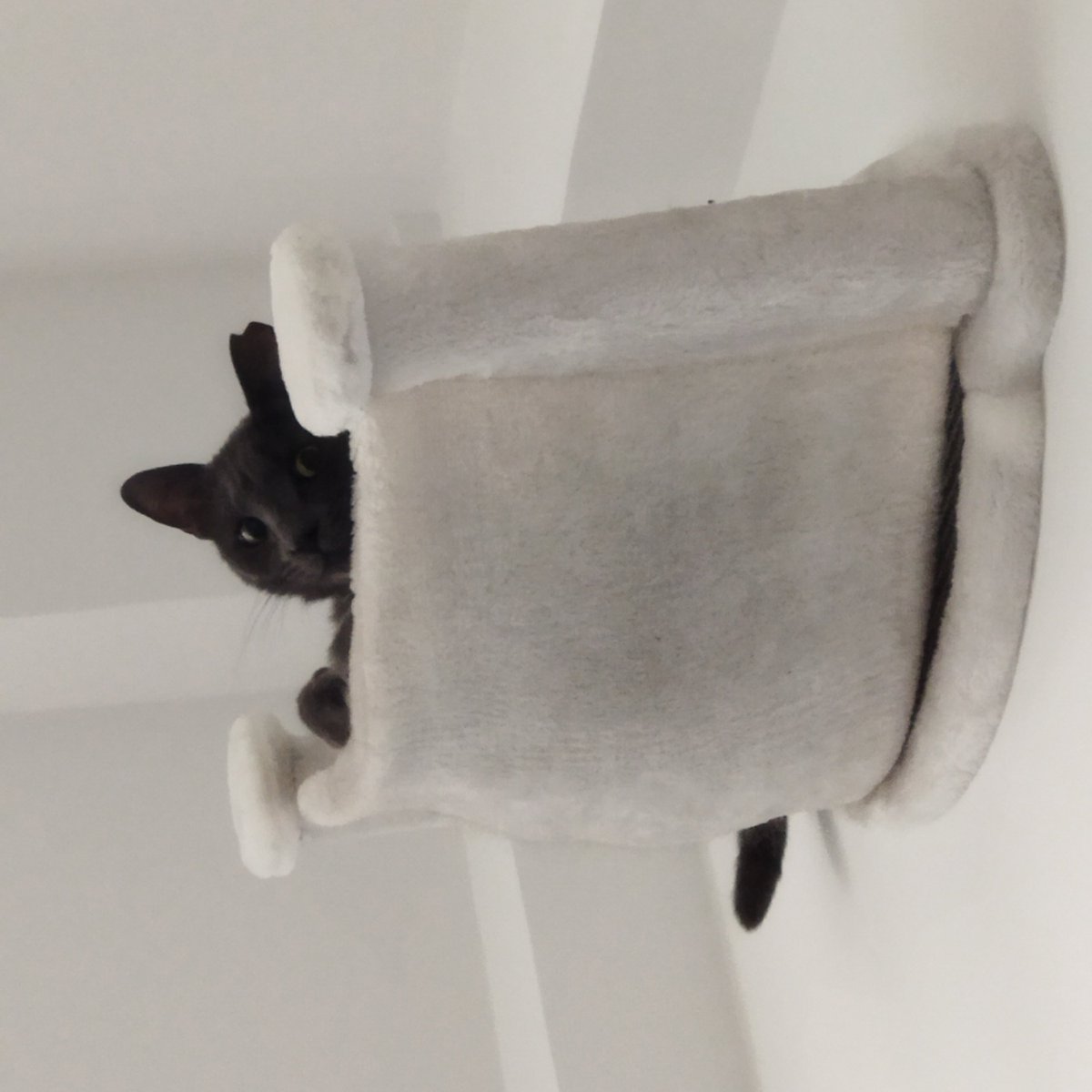 Ángel LM tweet media