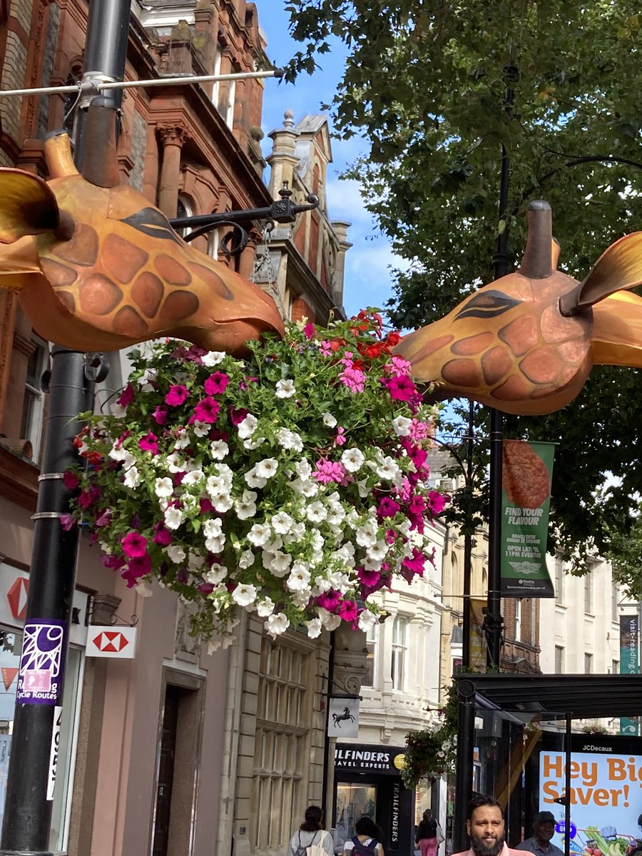 The giraffes @CultureMixArts Carnival of the World taking a well earned break and enjoying <a href="/WindowflowersUK/">Windowflowers</a> baskets 🌺