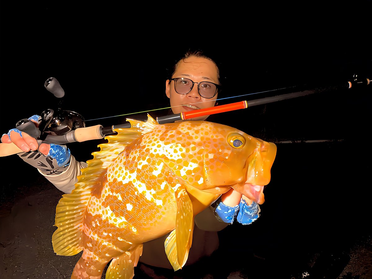 aile_fishing's tweet photo. 40upと40ある無しの2匹が釣れてくれました😊
coco77は4ピースとは思えない軽さ、感度、曲がりで凄い面白いロッドでした⭕️
新しい道具はワクワクしますね😁
そしてcoco77を転倒して折ってしまったのでメンタルブレイクしました😇

#dranckrazy
#ドランクレイジー
#ディレンジ
#finch
#フィンチ
#coco77 https://t.co/Ttv2EM89h9