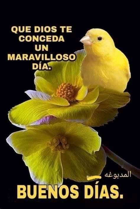 Rosa De Jesús (@rosa_galindo_) on Twitter photo 