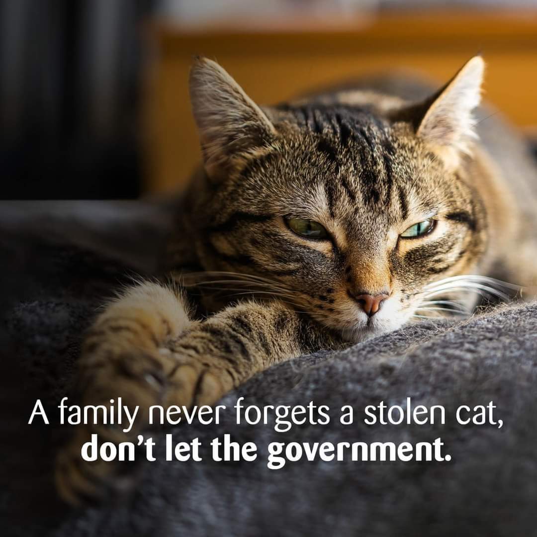 PROTECT YOUR PET⚠️
CATS🐈ARE STOLEN TOO
🙏 Sign & Share NEW #PetTheftReform Petition
Our pets are FAMILY not 'things'
Government must standby their commitment to make #PetTheft a specific crime⬇️🖋🙏
petition.parliament.uk/petitions/6401…
STOP #PetAbduction 
#MissingNeverHeals 💔
#Caturday