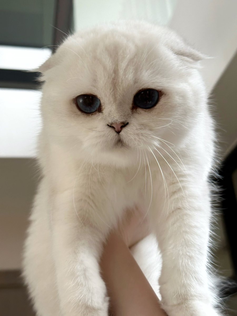 จับอุ๊ได้