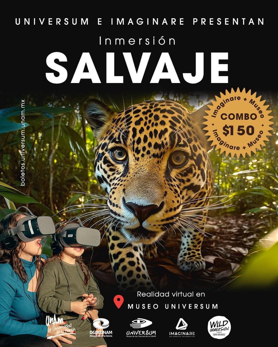 Conoce #InmersiónSalvaje, la experiencia de Realidad Virtual en Universum 👉 bit.ly/3nvqFt2