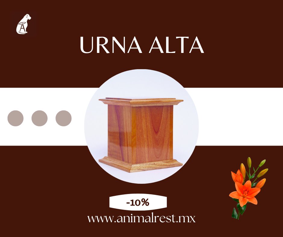 animalrestmx's tweet photo. Nuestras urnas de cedro están delicadamente hechas a mano para honrar a las mascotitas más allá del arco iris.

Cada uno de nuestros modelos puede ser personalizado con la réplica en tamaño real de los pequeños o con una foto grabada en una placa.

Contáctanos. https://t.co/qxCFeSx4Mz