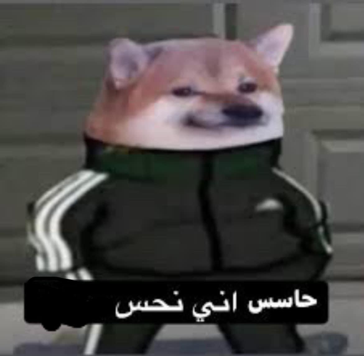 SakerSport's tweet photo. نهائي كاس السوبر :
لايبزيغ 3-0 بايرن 

هاري كين : https://t.co/G8d2cvAZ8N