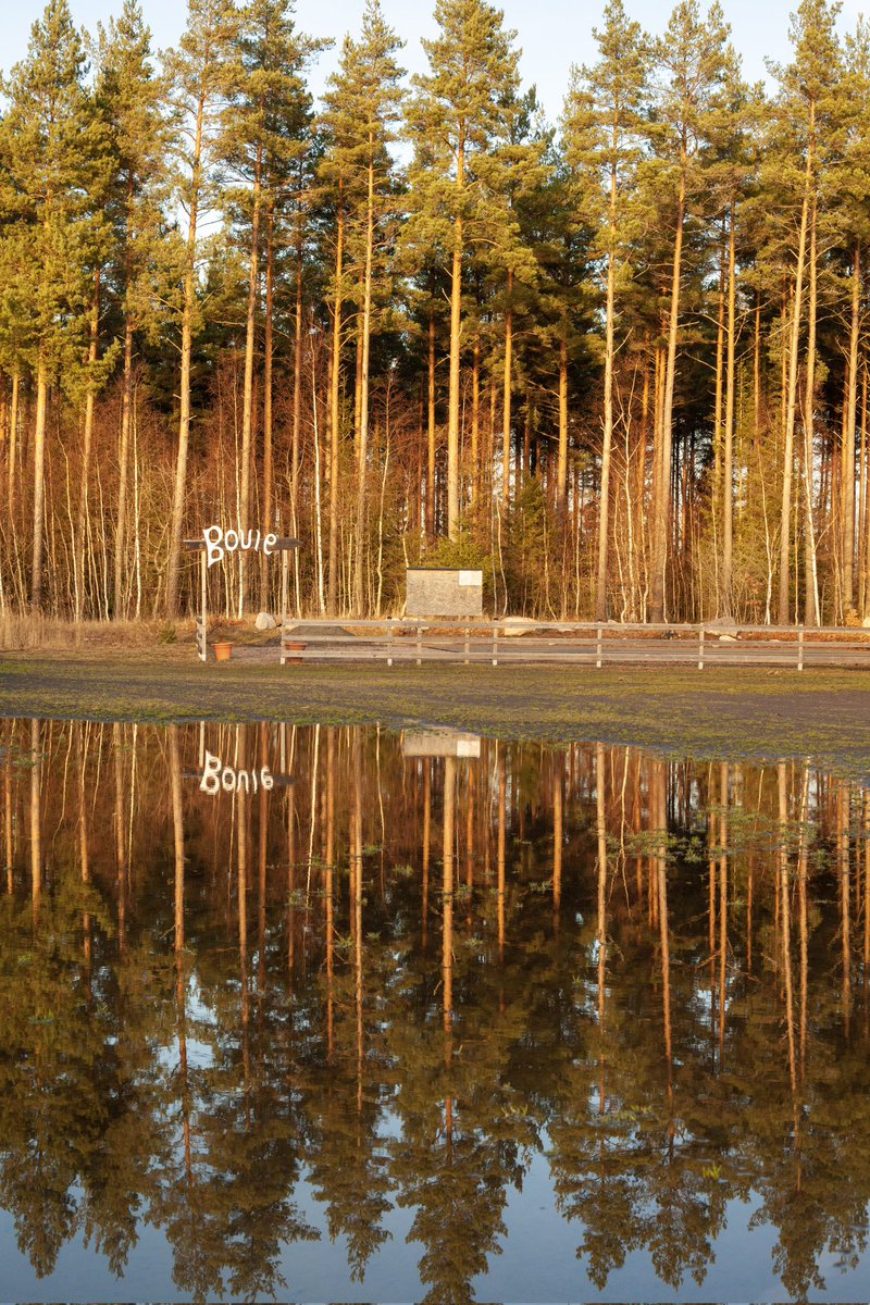 Gary Weeks Photography tweet media