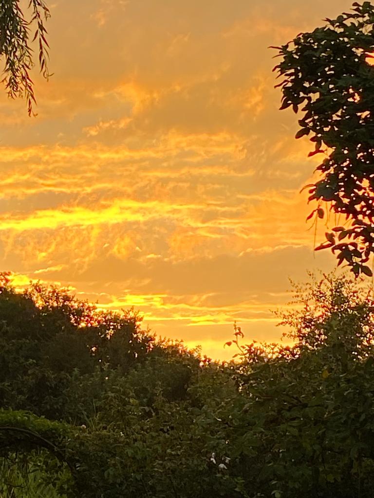 tutanch's tweet photo. Echt schön am Abend #Berlin https://t.co/O29U2zWzjd