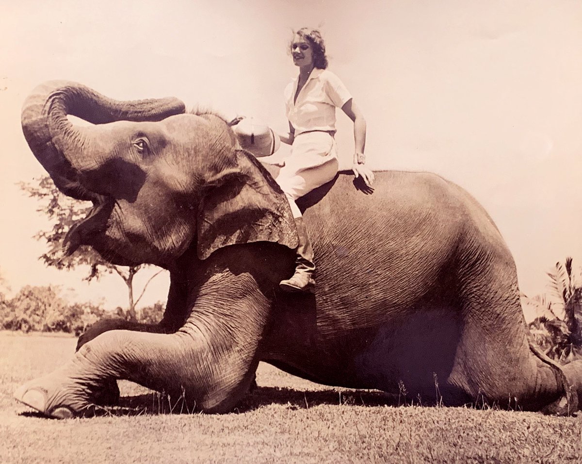 AlohaWanderwell's tweet photo. In Celebration of World Elephant Day !
August 12
#Adventuress
#QueenofAdventure
#AlohaWanderwell
#AlohaWanderwellBaker
#AlohaBaker
Official website https://t.co/NyYHPIdeuh
The Richard Diamond Trust https://t.co/X3x8ZlFh7d