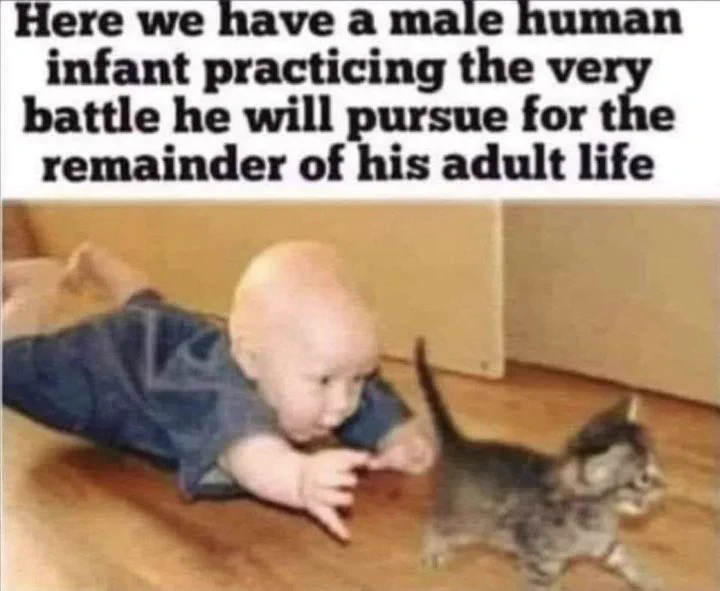 F3W3b7pWIAAt6Ue