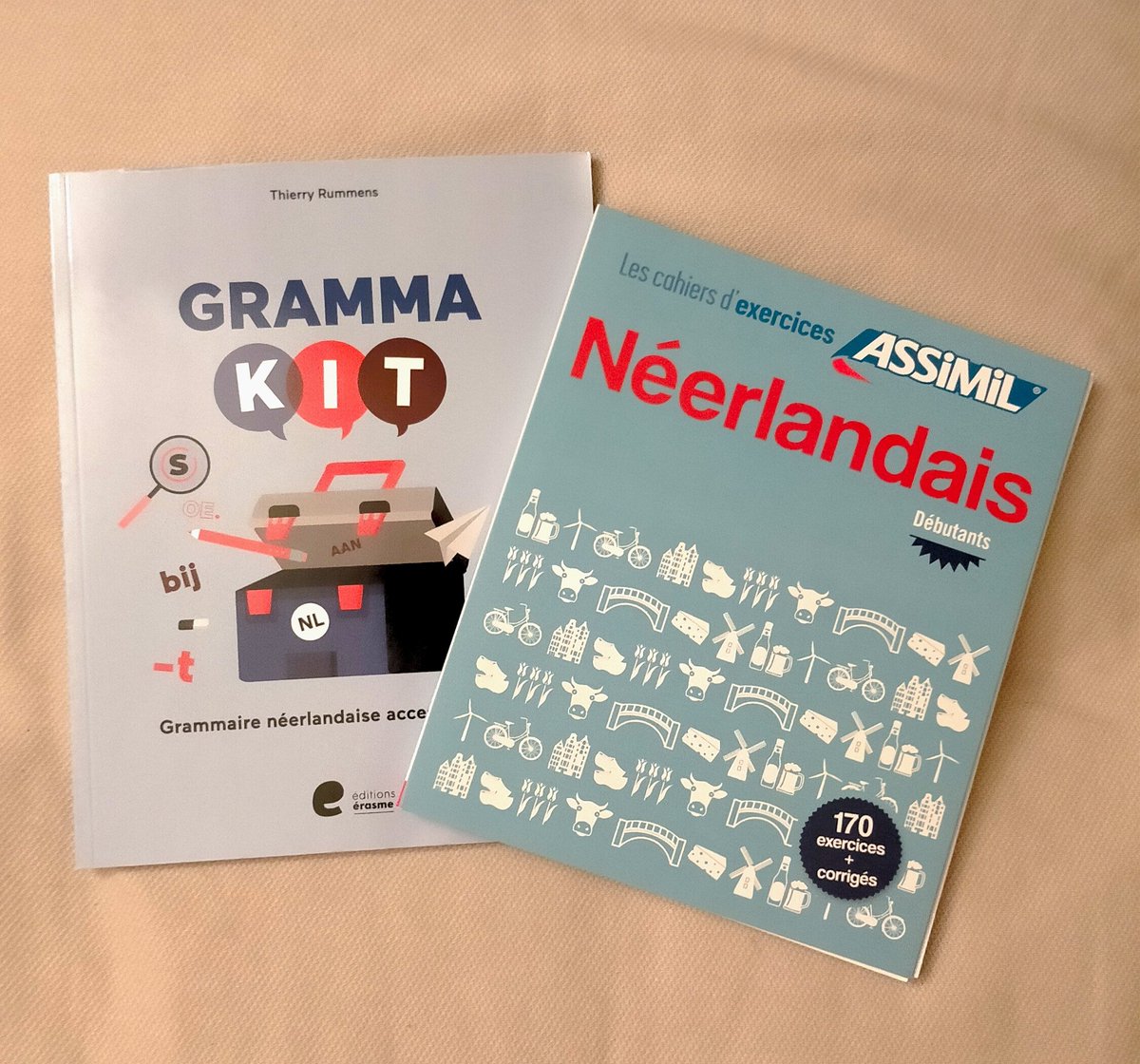 Today I bought these two with my Pass Culture🫶
I already had a Dutch textbook but it wasn't very efficient for me so I hope these will be more helpful !
#langtwt