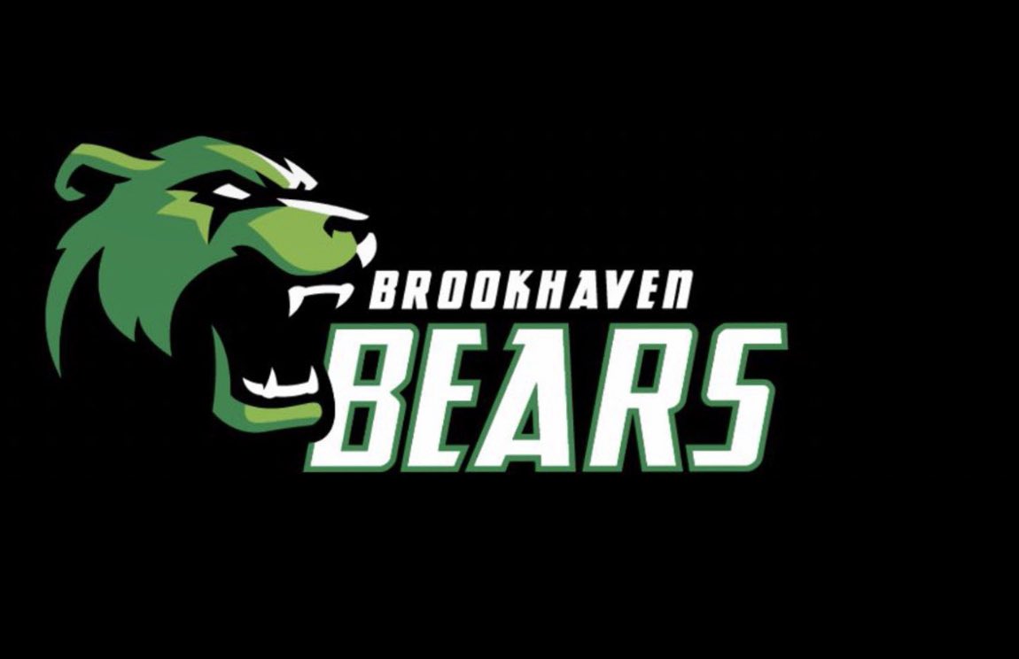 Brookhaven Baseball (@haven_baseball) / X