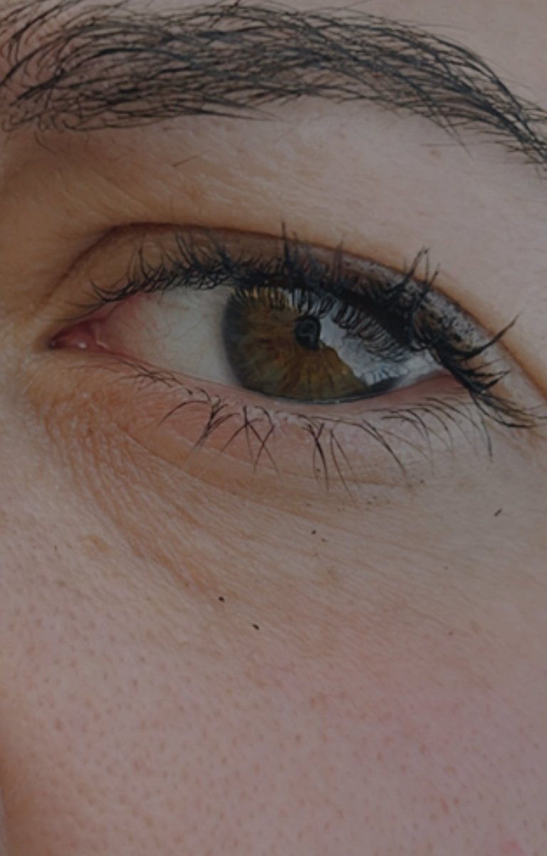 fatima_morillas's tweet photo. mi novia tiene mi flor favorita (🌻) en los ojos 😍 https://t.co/NI5HKanwbd