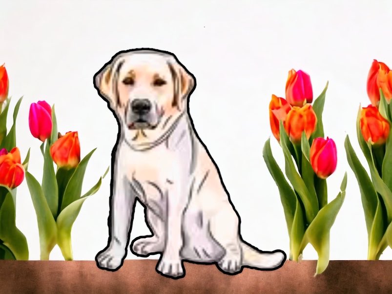 I make ‘stickers’ of Walt., but couldn't help but put pretty things around him…