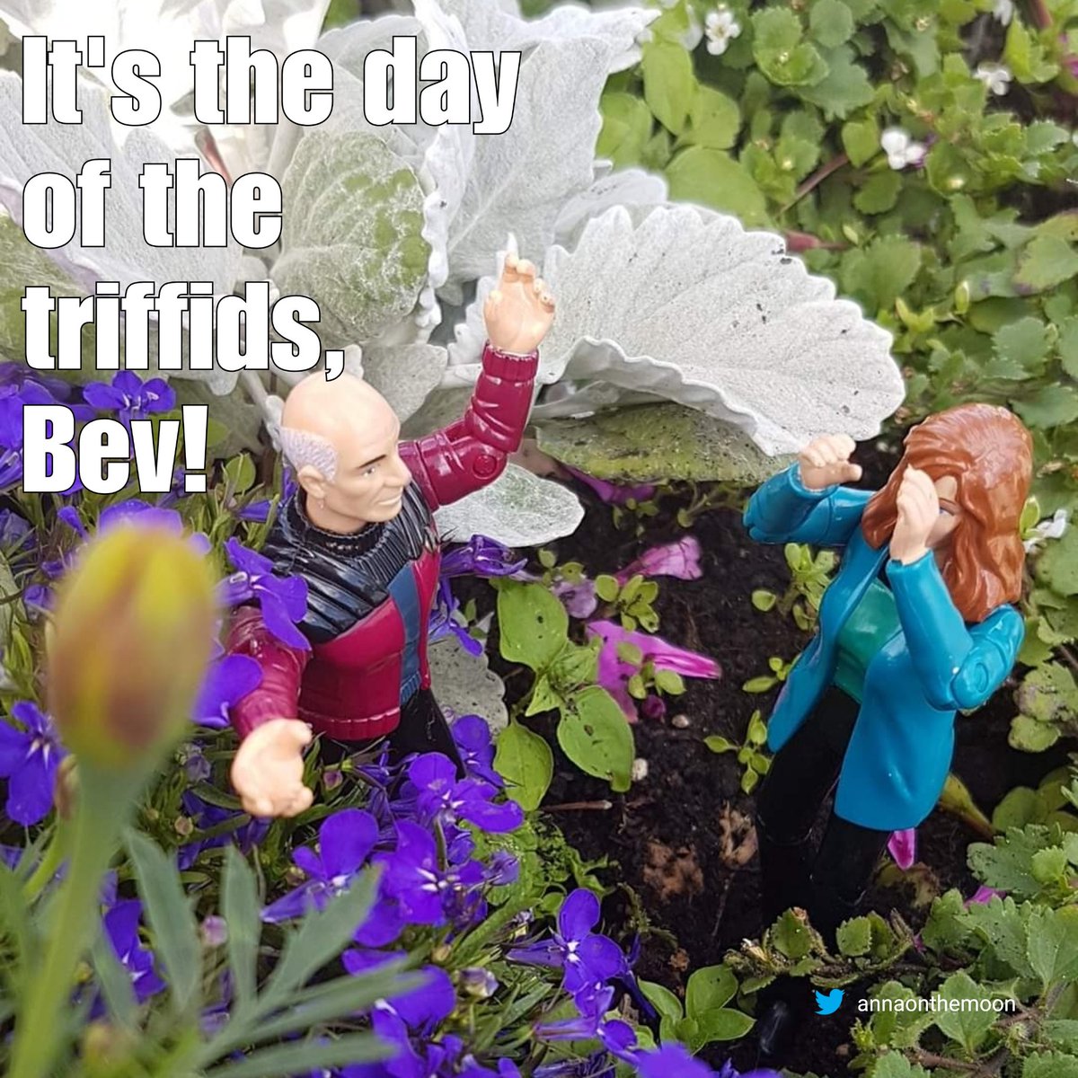 annaonthemoon's tweet photo. #MiniBev #MiniPicard #OGMiniBev #CrossingStreams https://t.co/TMYsGiCAc9