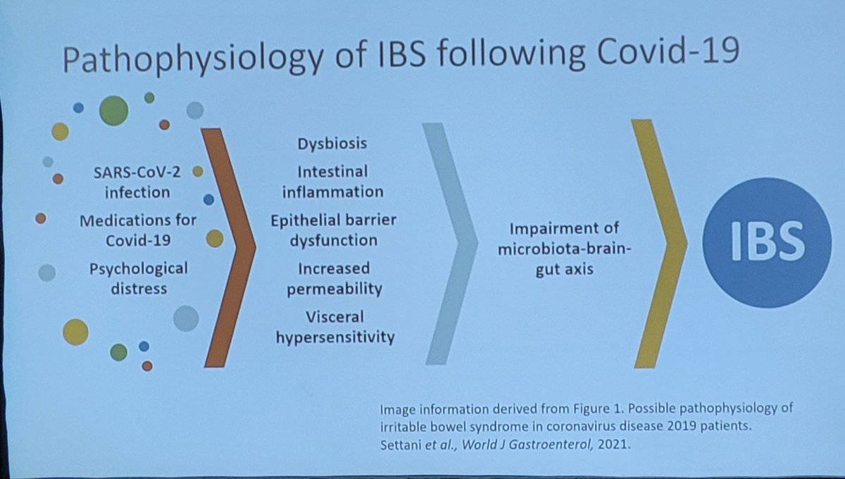 ANMSociety's tweet photo. Shreya Raja discusses changes in the gut #microbiome following SARS–CoV-2 and the development of postinfectious #IBS. 

- Patients who developed post-acute #COVID19 symptoms had decreased #microbial diversity.
- COVID19 survivors are more likely to develop IBS. https://t.co/UnJBFJkKlj