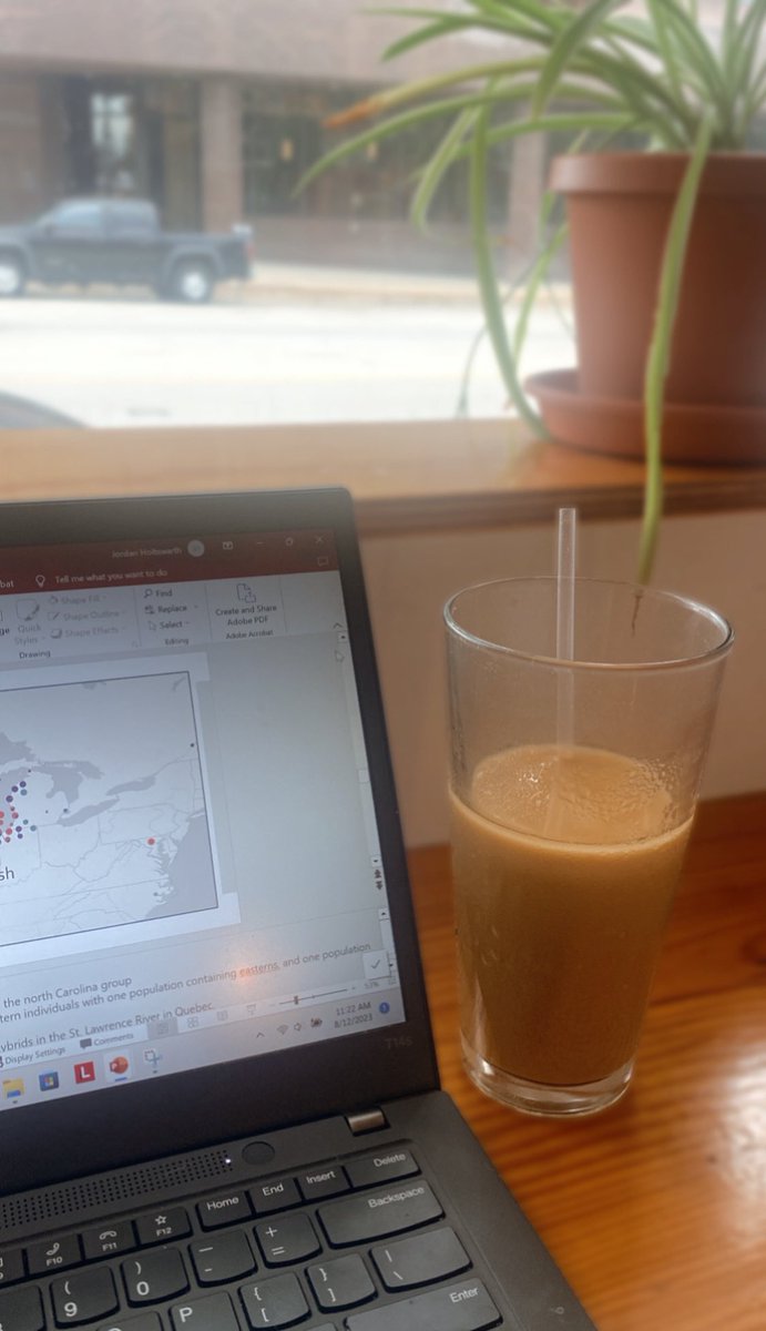 Working on my presentation for #AFS153! 

Don’t forget to check out the Graduate and early career research in genetics-genomics session on Monday. I’ll be presenting about banded killifish hybridization at 3:40! 🧬<a href="/AmFisheriesSoc/">American Fisheries Society</a>  #AFS2023 #InvasiveSpecies