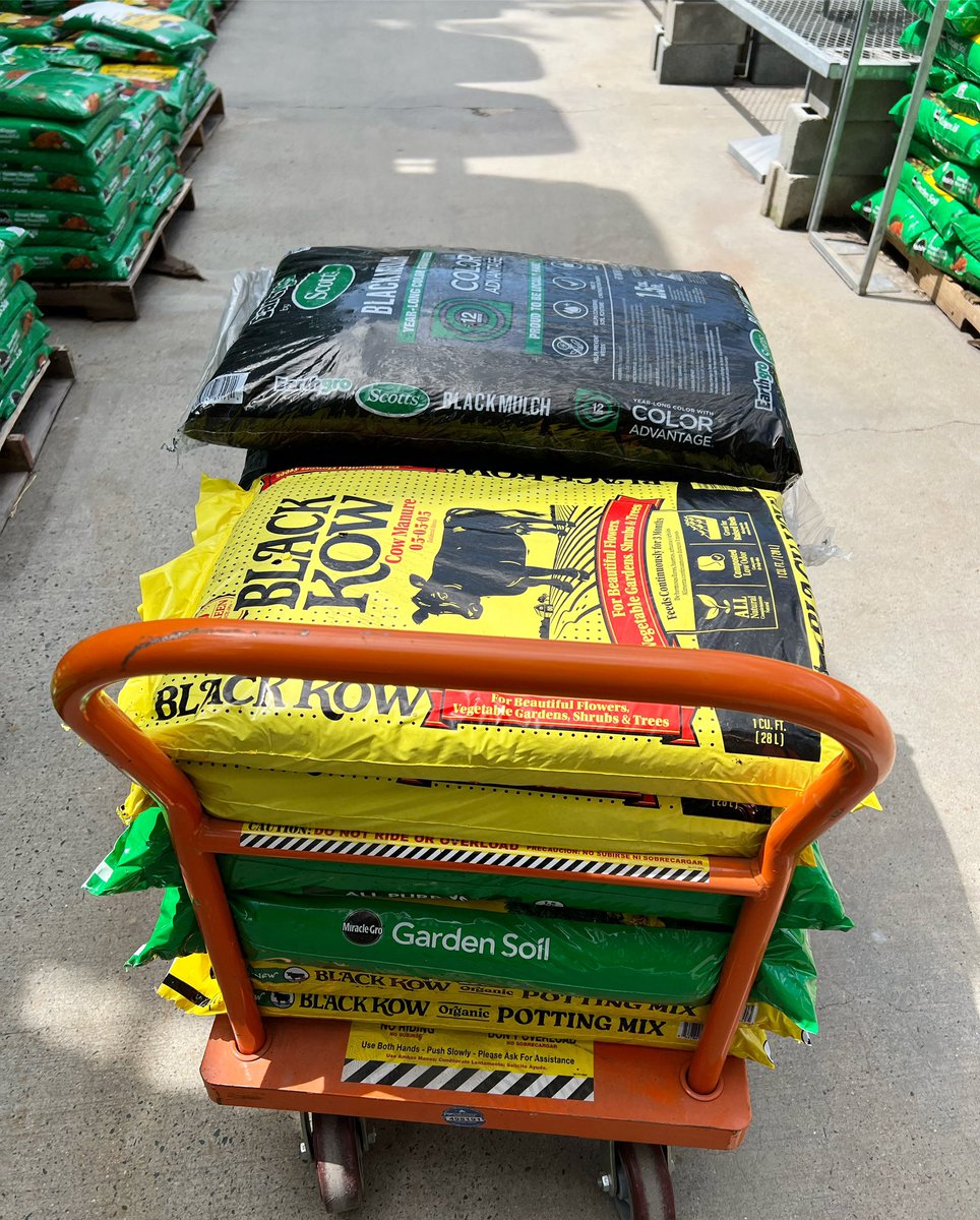 TomoJustFunky's tweet photo. My today’s office @homedepot 💪🪴
#homedepot #garden #gardensoil #blackcow #blackkow #pottingmix #miraclegro #blackmulch https://t.co/9imhHretCl