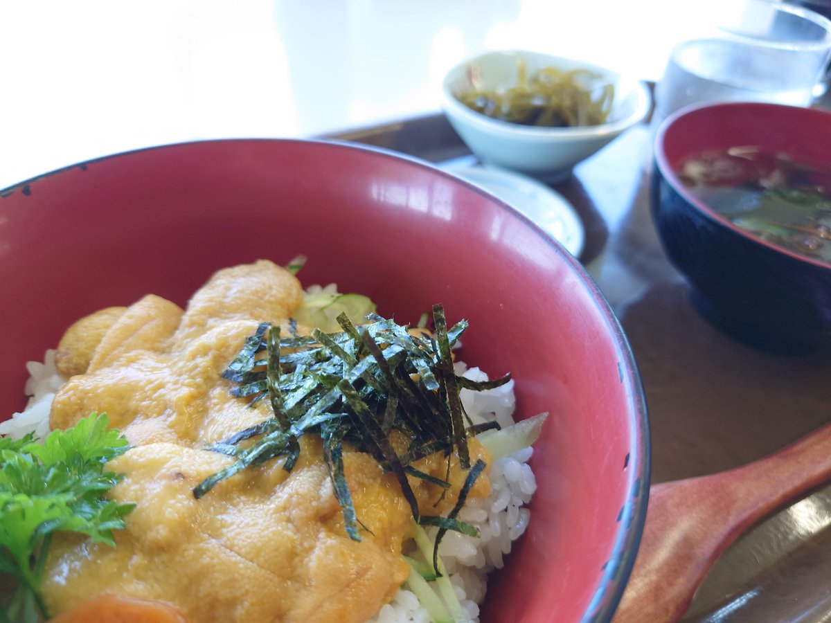tabizuki_K's tweet photo. #���ストハウスうしお さんで、ウニ丼とアワビ丼をいただきました。景色も最高でした♪ https://t.co/AUiEWnS38e