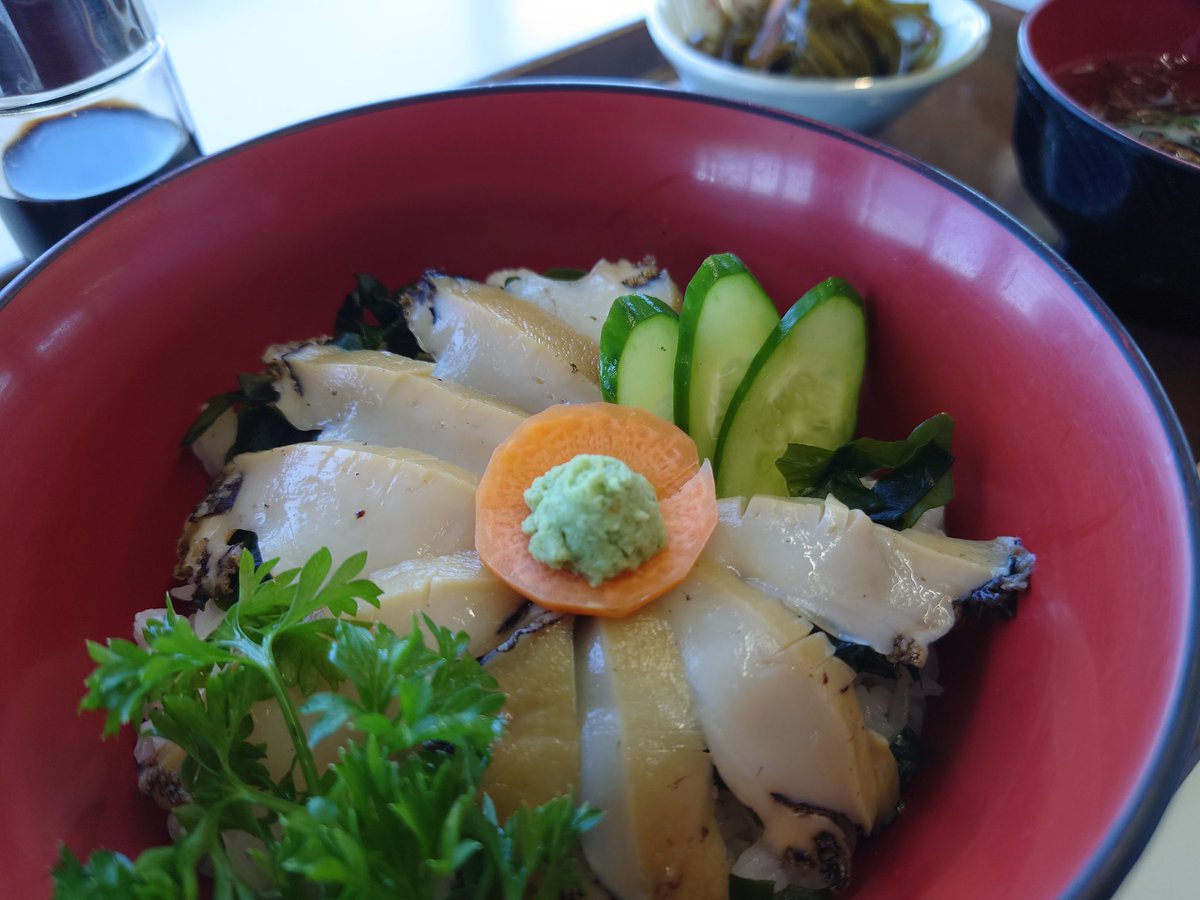 tabizuki_K's tweet photo. #���ストハウスうしお さんで、ウニ丼とアワビ丼をいただきました。景色も最高でした♪ https://t.co/AUiEWnS38e