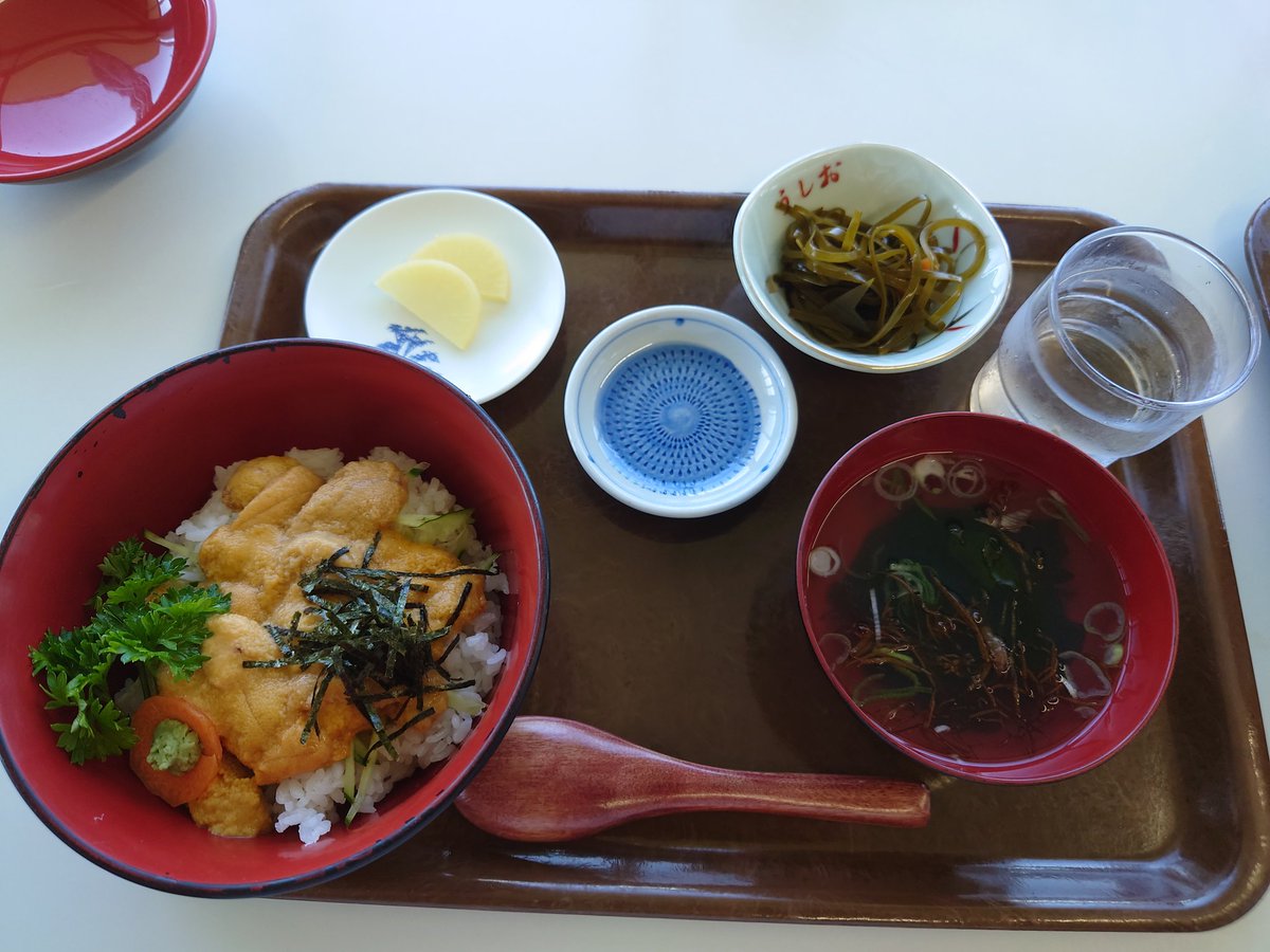 tabizuki_K's tweet photo. #���ストハウスうしお さんで、ウニ丼とアワビ丼をいただきました。景色も最高でした♪ https://t.co/AUiEWnS38e