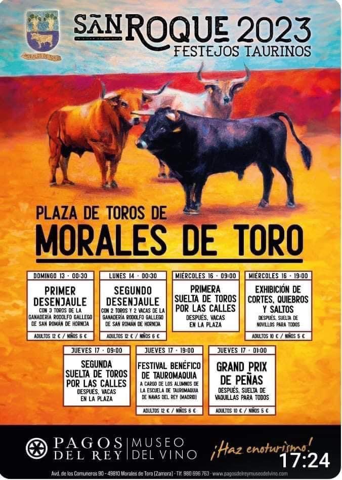 MORALES DE TORO (ZAMORA)

Festejos taurinos del 13 al 17 de agosto.