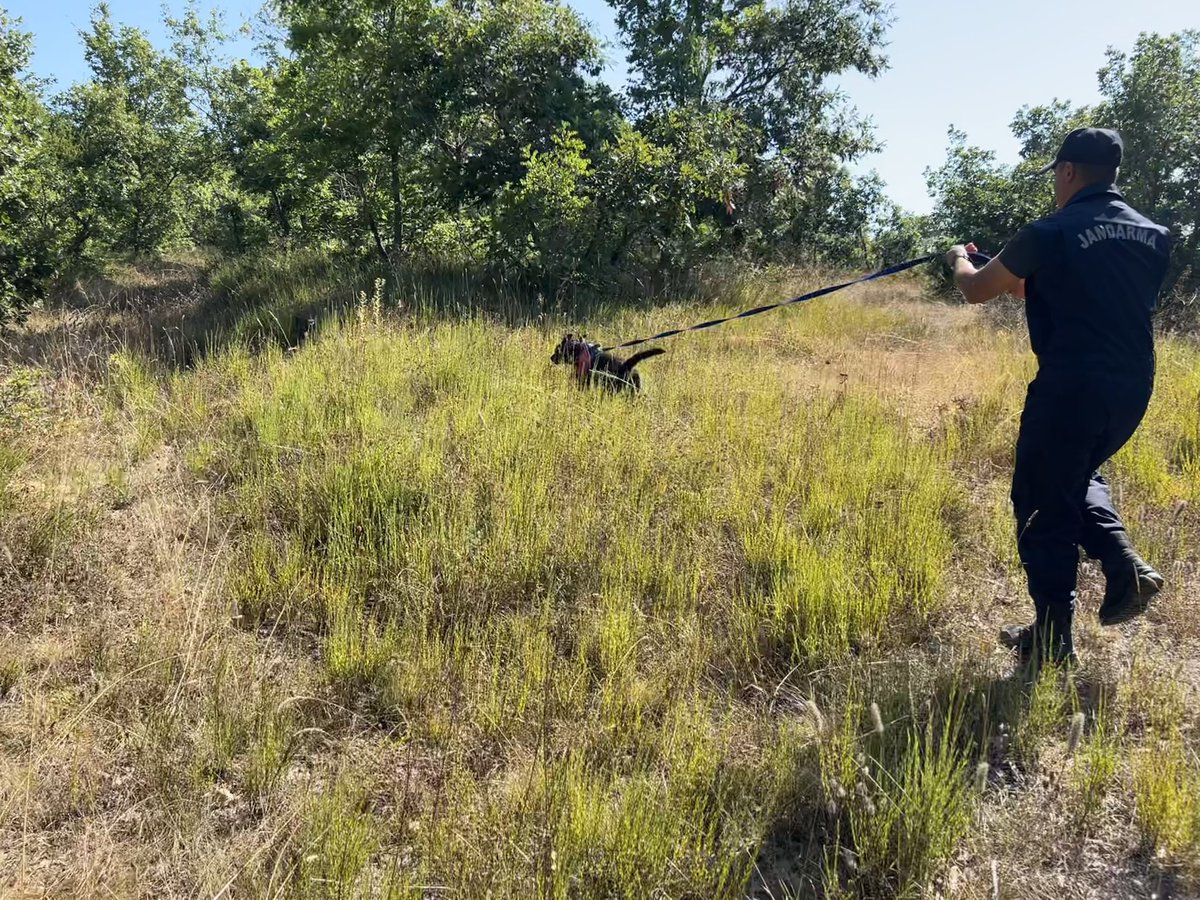 VisscherWesley's tweet photo. Two days of tracking &amp; trailing training with the military police from Turkey . #k9 #k9tracking #workingdogs #snifferdogs #k9training #trackerdog #trackingdog @Scentimprint https://t.co/aNh7RRzk3Y