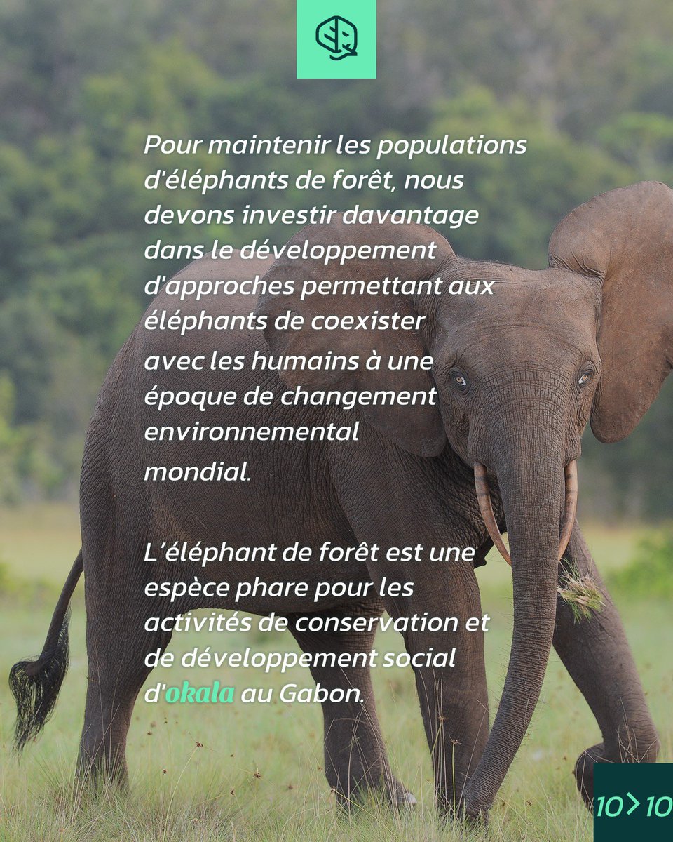 okala_io's tweet photo. https://t.co/OUJY14ZUVG