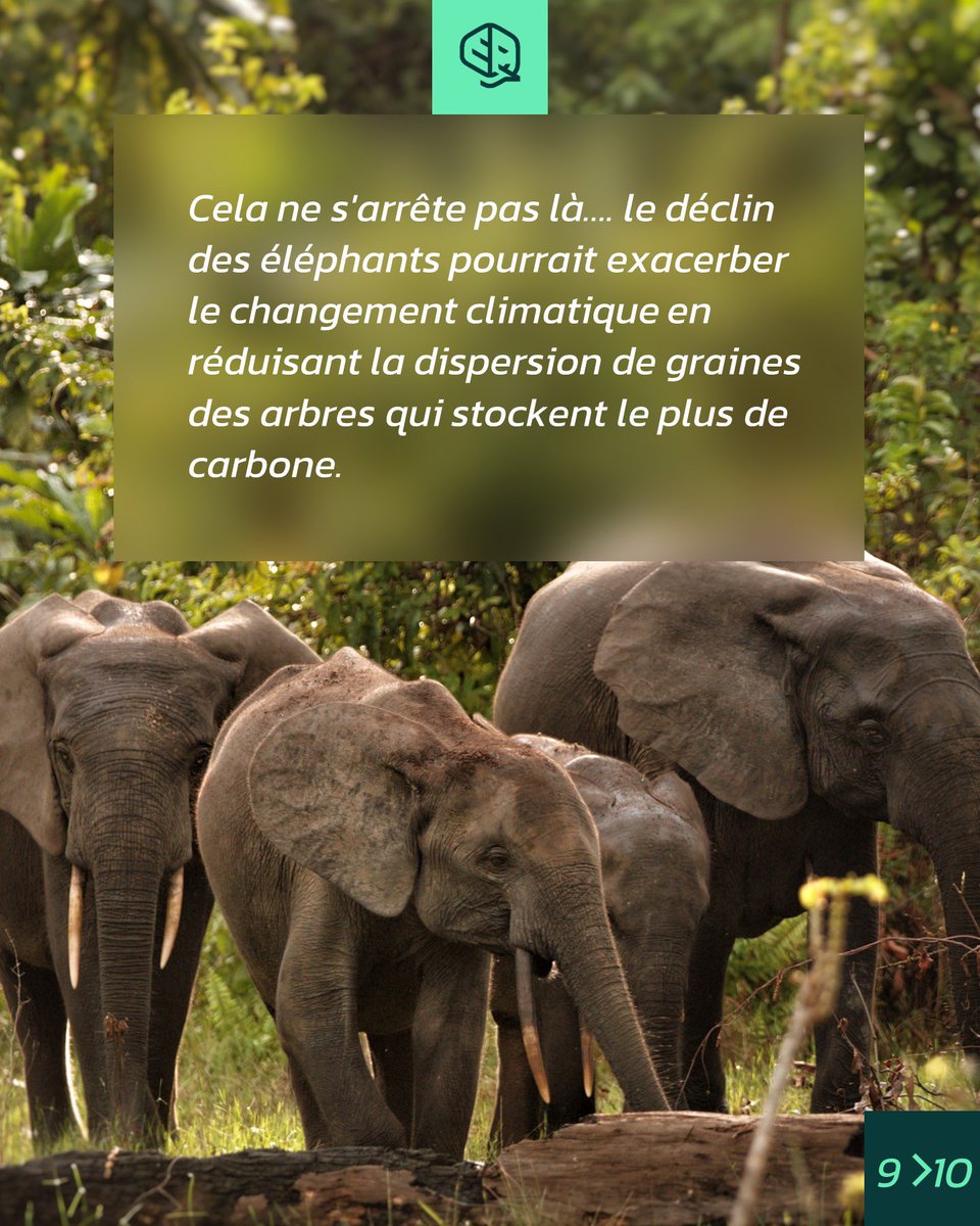 okala_io's tweet photo. https://t.co/OUJY14ZUVG