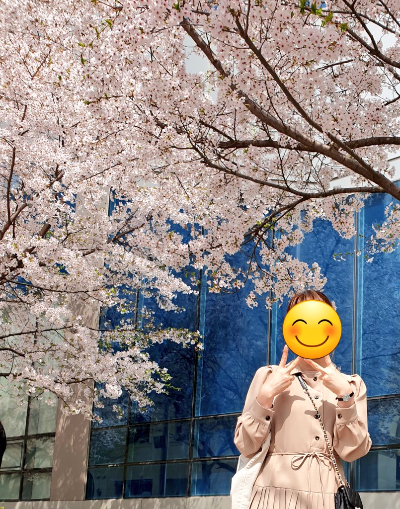 chan2gasmile's tweet photo. #이병찬
#국가가부른다 추억하기💛
2022.04.11방청
<발라드 퀸> 특집!
첫 방청 떨리는 마음으로 꼭두새벽에 출발!!
와~해 뜨는거 오랜만에 봤당.
활짝 핀 벚꽃아래 봄 뙤약볕에 방청대기중
어느 노랑씨의 사연에 울먹이며 부른 새들처럼😢
#새들처럼
#Roly_Poly https://t.co/2t1Wr0VISv