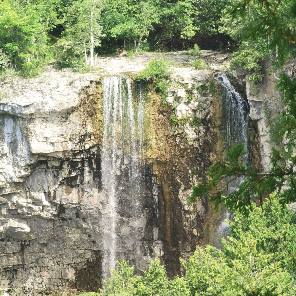 MoVernie's tweet photo. With just a short 20-minute drive from #CornerCottage, there is this beautiful #EugeniaFallsConservationArea.
It's a short 3-minute walk from the parking to the #waterfalls.
#OntarioParks #OntarioCottage #Nature #HikingTrail #BruceTrail #Flesherton #cx90 #pluginhybrid #mazda https://t.co/n1GufEWZ7X