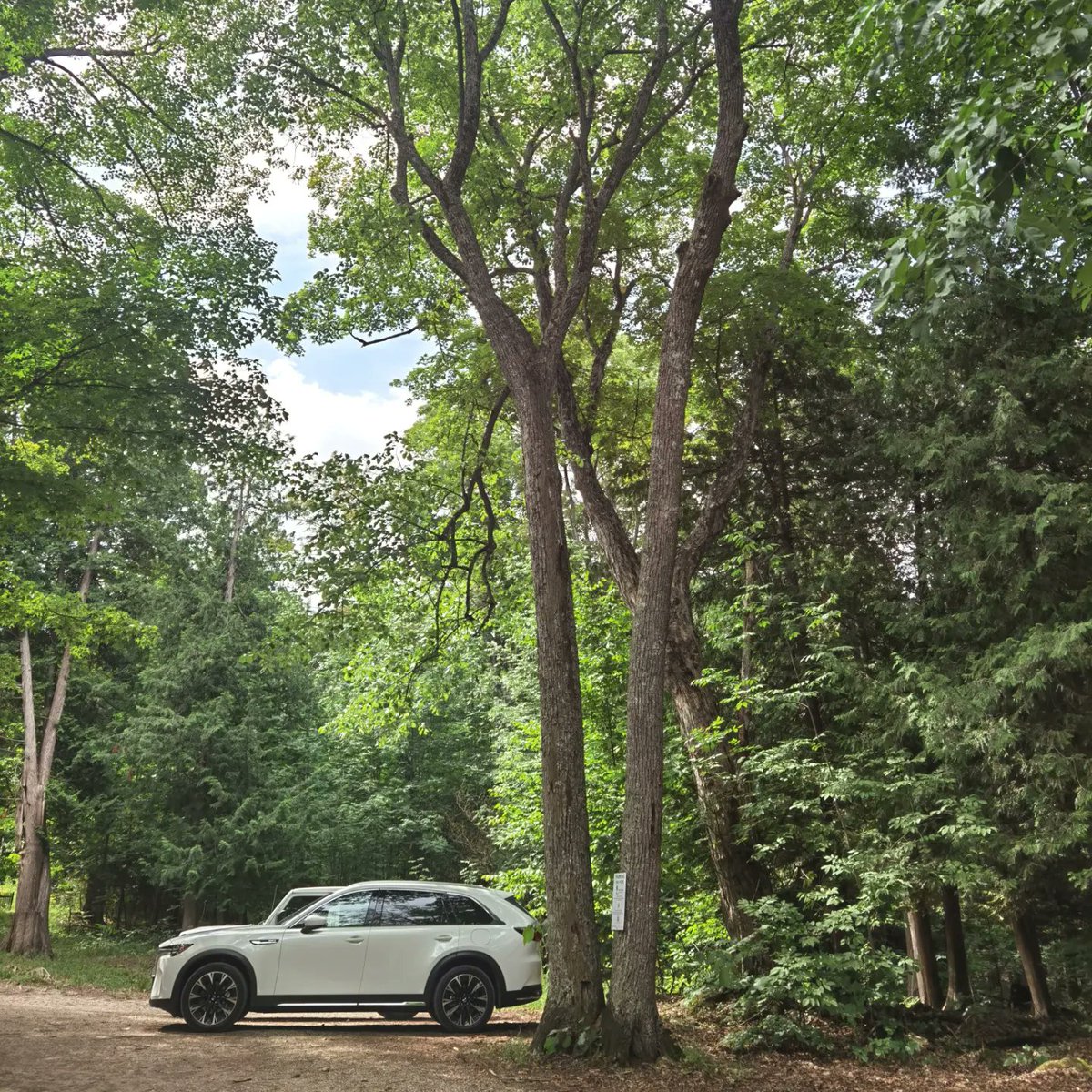 MoVernie's tweet photo. With just a short 20-minute drive from #CornerCottage, there is this beautiful #EugeniaFallsConservationArea.
It's a short 3-minute walk from the parking to the #waterfalls.
#OntarioParks #OntarioCottage #Nature #HikingTrail #BruceTrail #Flesherton #cx90 #pluginhybrid #mazda https://t.co/n1GufEWZ7X