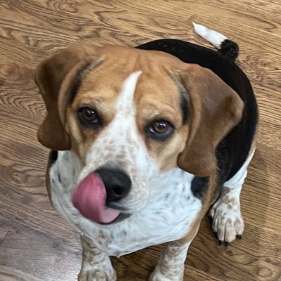 Corey Beagz tweet media