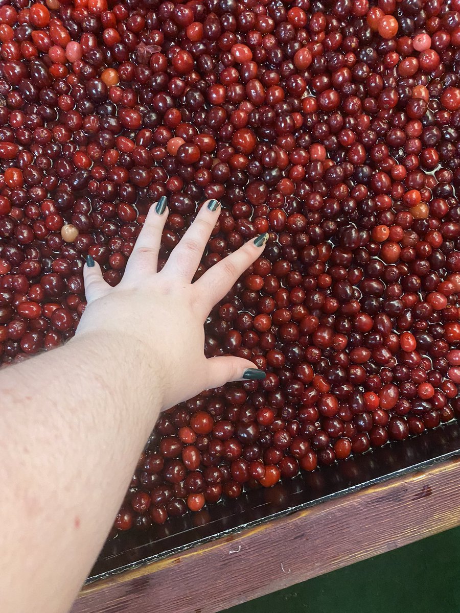 mysillycomics's tweet photo. succumb to the cranberry bog https://t.co/cQC1zHdWjp