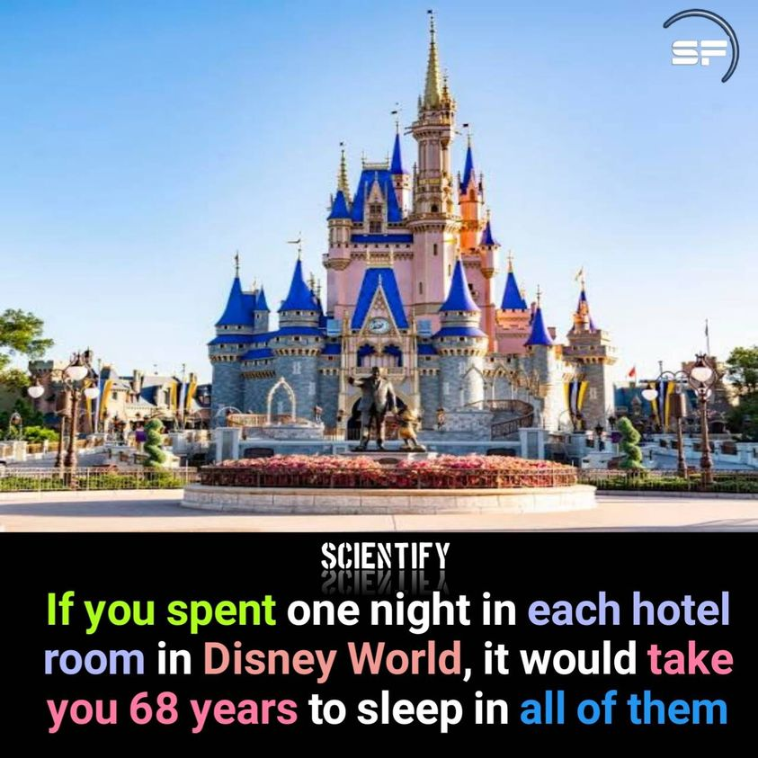 ScientifyFacts's tweet photo. #facts #scientify #scientifyfacts https://t.co/mcnJ9U3jPn