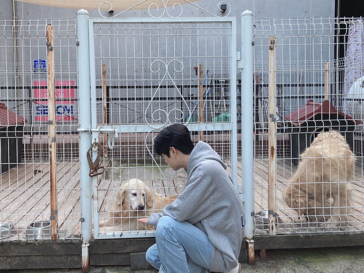 다다🤍 tweet media