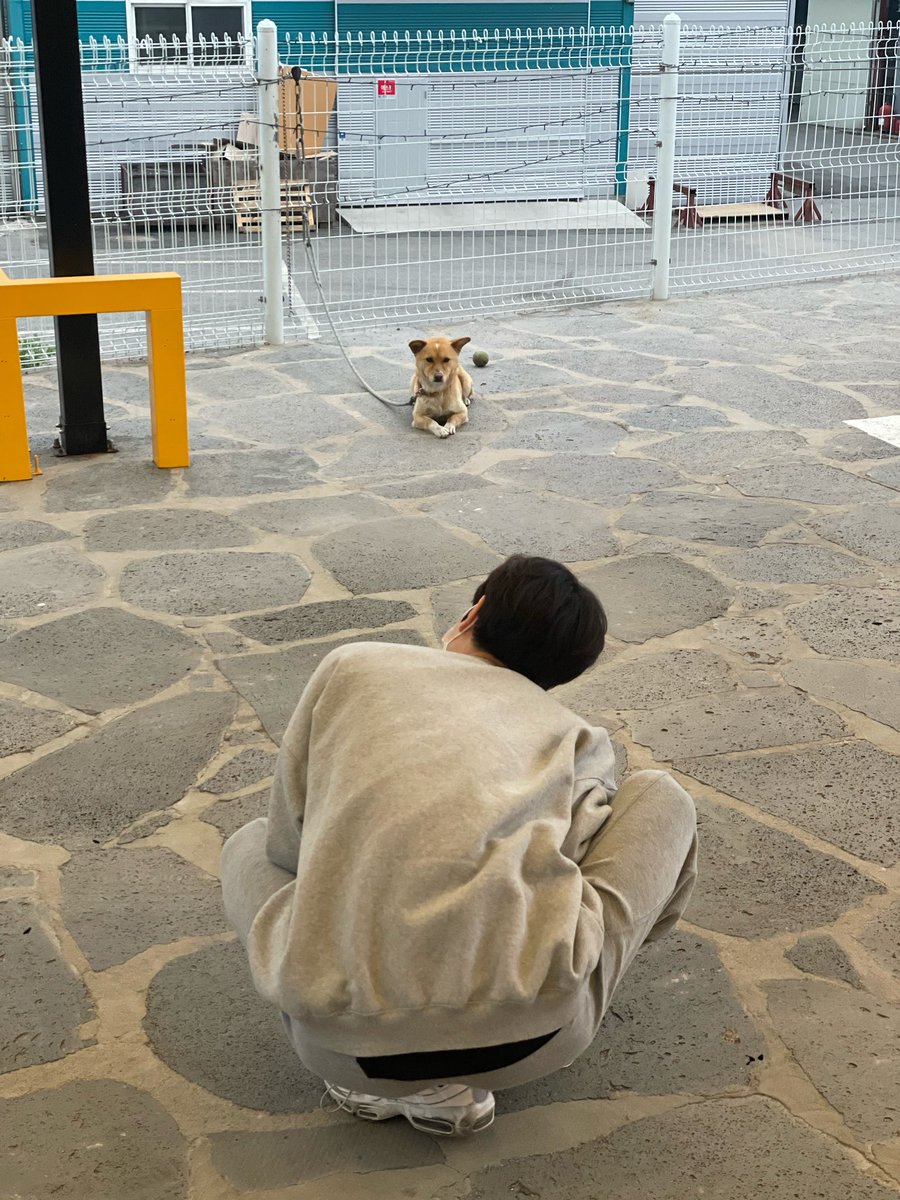 다다🤍 tweet media