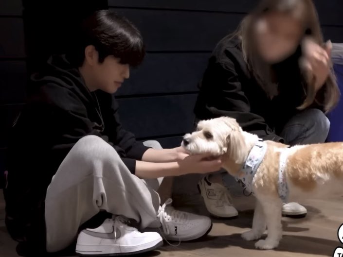 다다🤍 tweet media