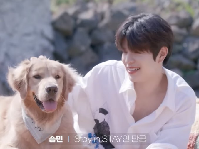 다다🤍 tweet media