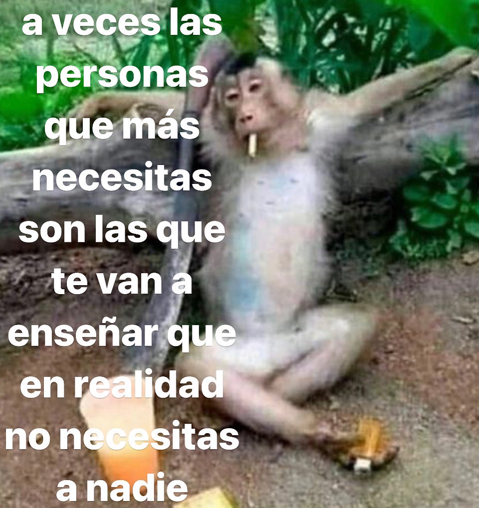 conoloracigarro's tweet photo. a veces https://t.co/7qHSqYRggN