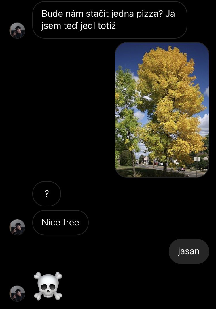 misha (@misakort) on Twitter photo 