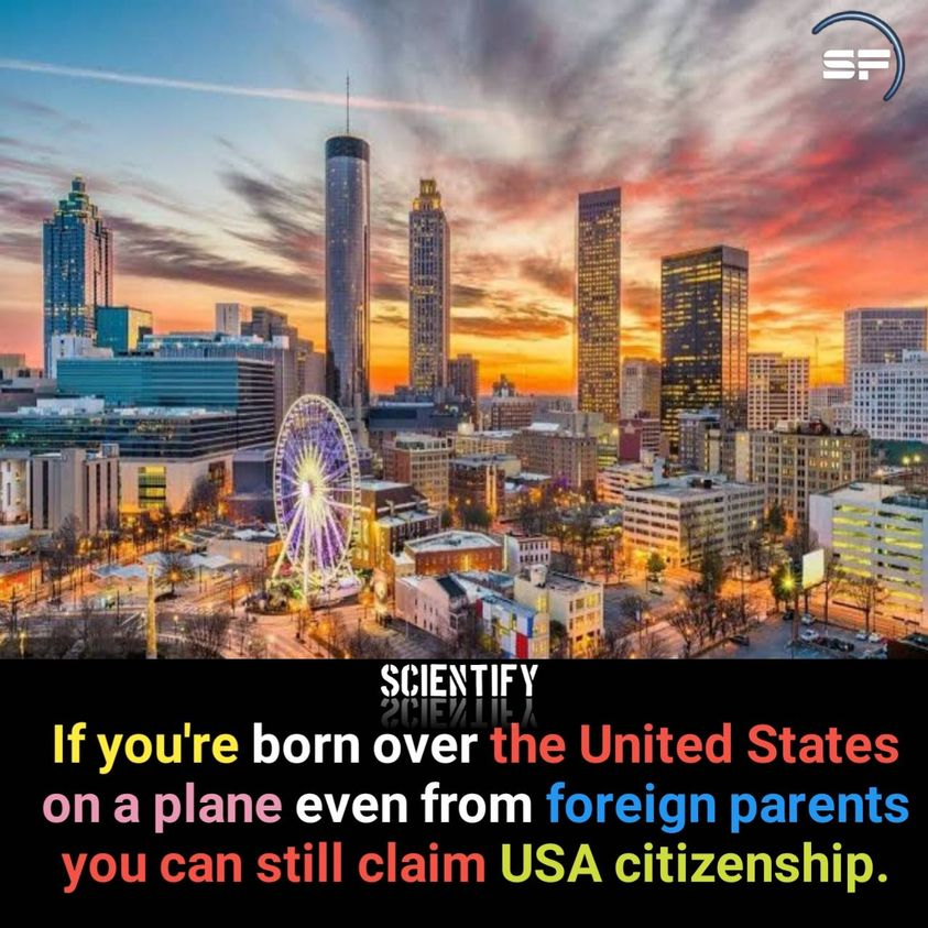 ScientifyFacts's tweet photo. #facts #scientify #scientifyfacts https://t.co/t7WV2EbyBt