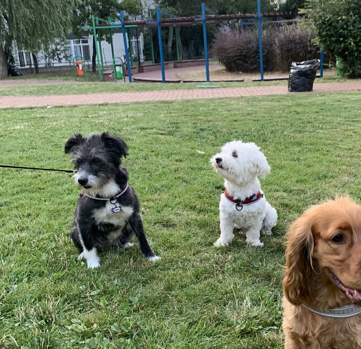 en güsel sefgili benim sefgilim bakmaya bilem doyabilemiyolum