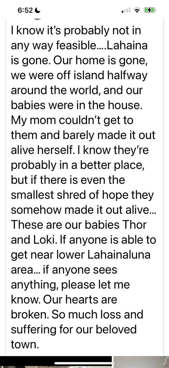 TikiTales's tweet photo. Has anyone seen Thor or Loki? Lower Lahainaluna Road area ❤️🙏 Pls notify Maui Humane Society on behalf of the Cooke ‘ohana
 #lostpet #mauifires https://t.co/UZYSdNSURo