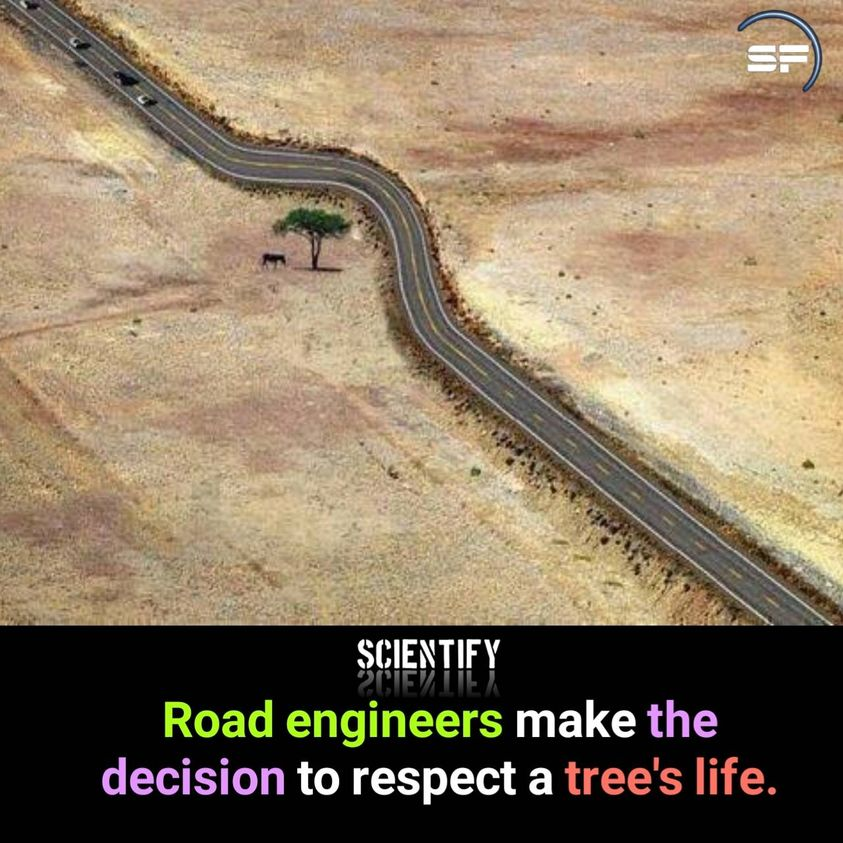 ScientifyFacts's tweet photo. #facts #scientify #scientifyfacts https://t.co/jkN7saBrKh