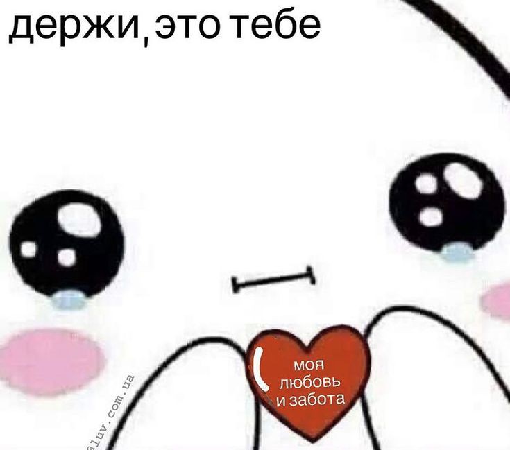 ben_loves_u's tweet photo. вечер, солнышко!!

как твои дела? у меня вот сегодня денёк весьма продуктивный: сначала поработал, а затем съездил к друзьям на пару часиков. и эйб, и калеб, и анна чувствуют себя чудесно) в таком случае, я тоже, хпхп

хорошего вечера 💌 https://t.co/QRf86kYSH3