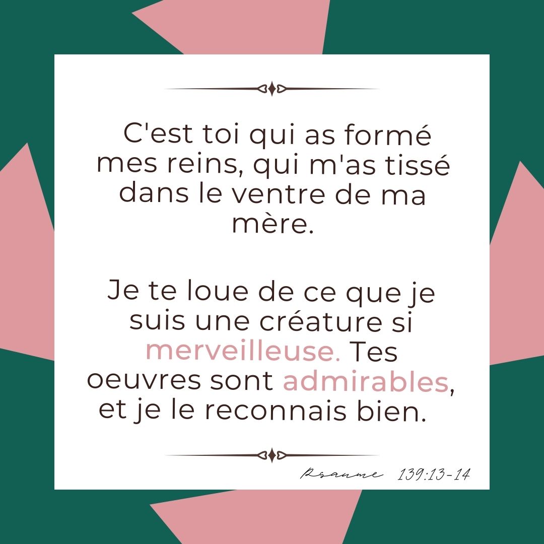 La Bible (@la_bible) on Twitter photo 