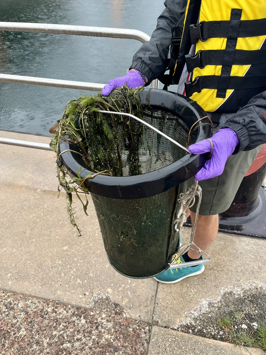 TOPortAuthority's tweet photo. Today’s public Trash Trap Dive might have ended early due to weather but with the help of @UofTTrashTeam researchers #FightingFloatablesTO partners and the community, we still collected and characterized large and small #plasticpollution from #trashtraps along Toronto’s Harbour, including @PortsToronto’s Seabins. #LastStopTheOcean
